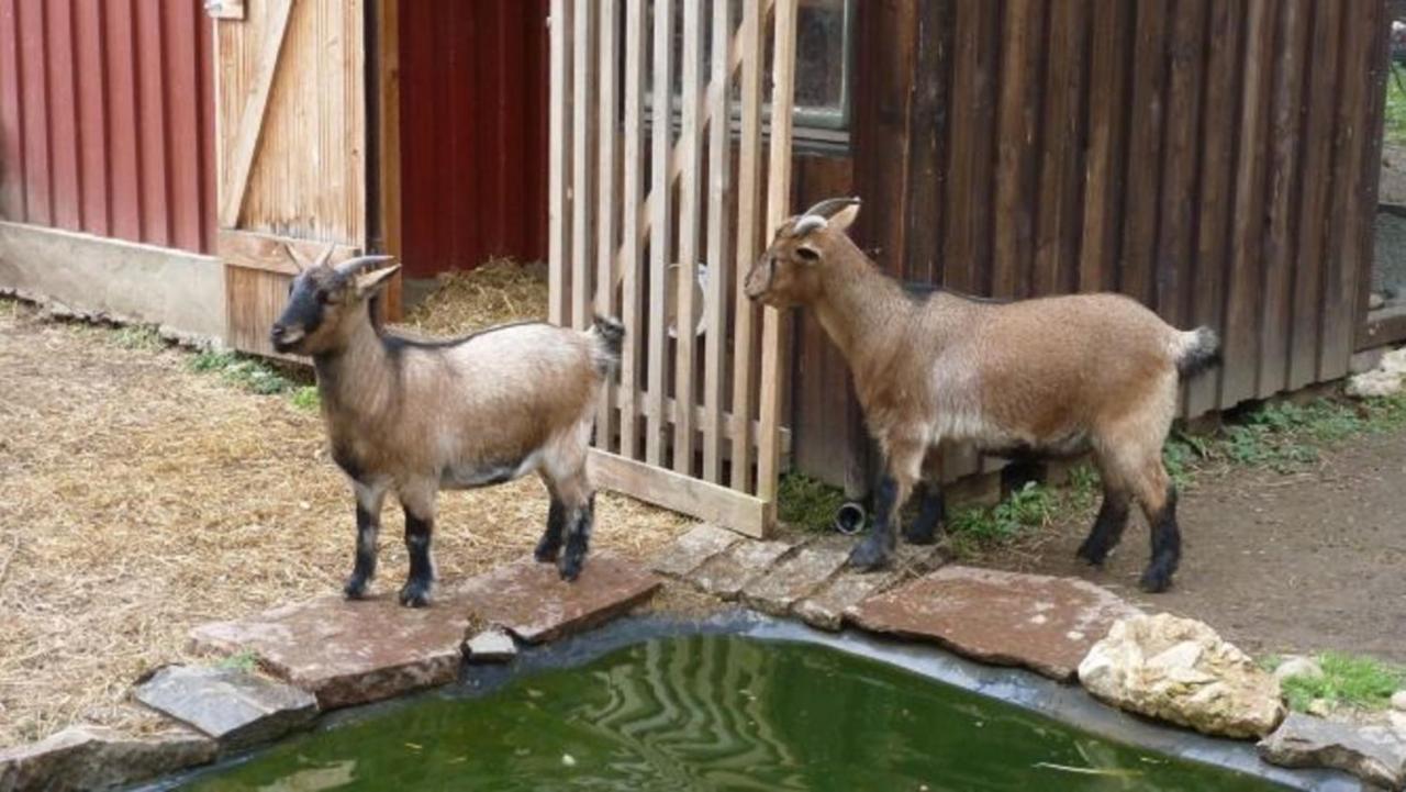 Ferienwohnung Irene Ludwigschorgast Luaran gambar